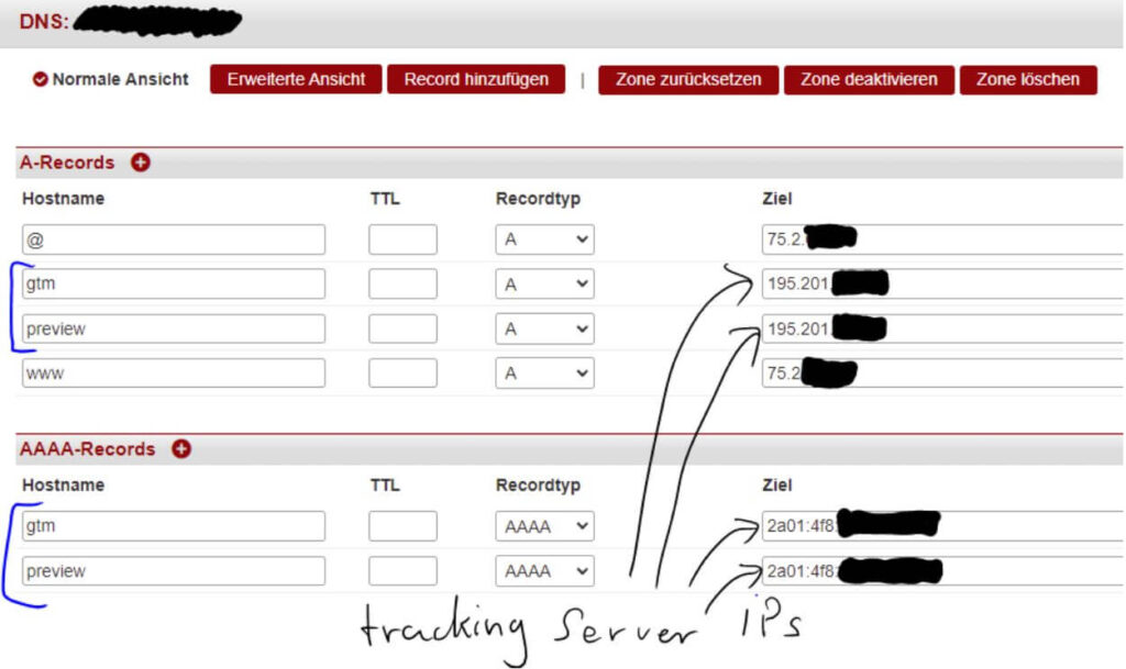 Blog Serverside Tagging - Hetzner DNS Settings
