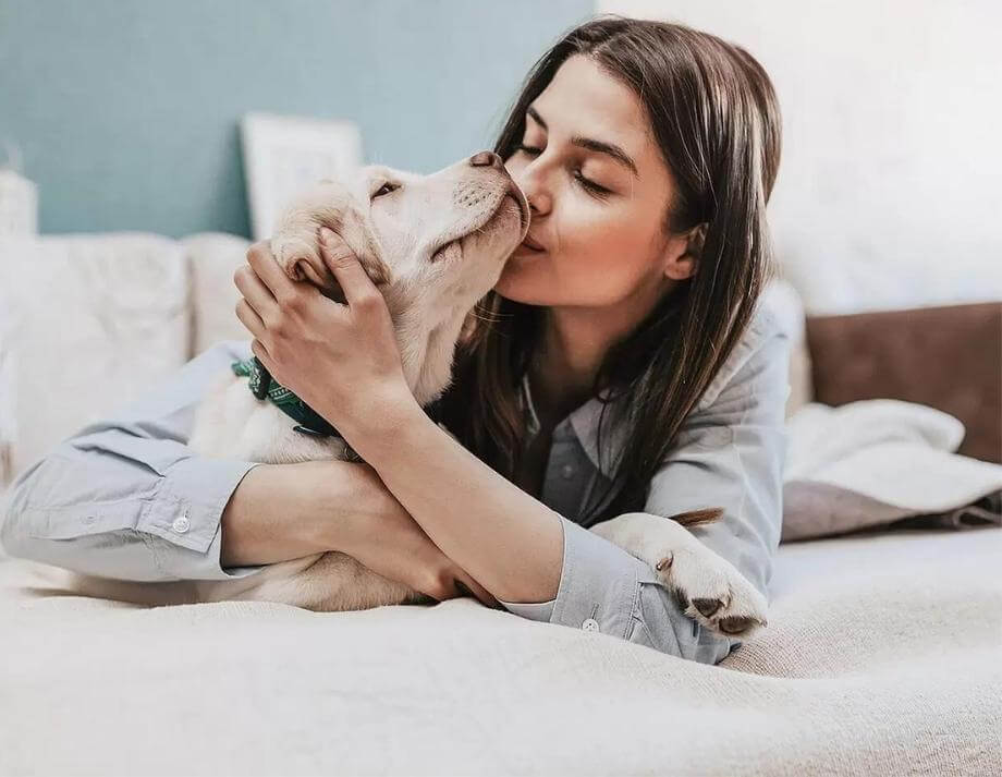 DFV erweitert zu einem Full-Funnel-Ansatz und konzentriert sich auf YouTube-Video und -Audio