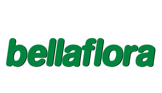 Insights für bellaflora mit Google Surveys