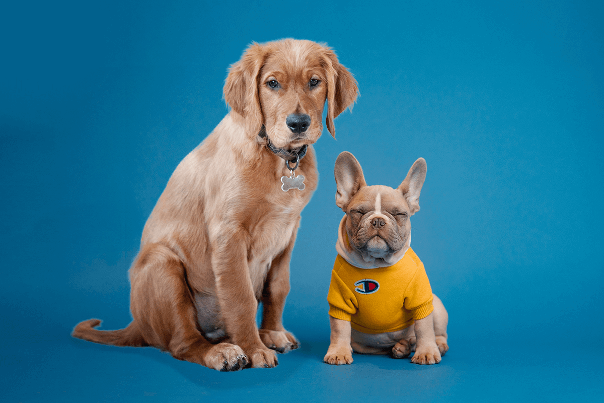 Assets für HTML5-Werbemittel optimieren und Dateigröße reduzieren