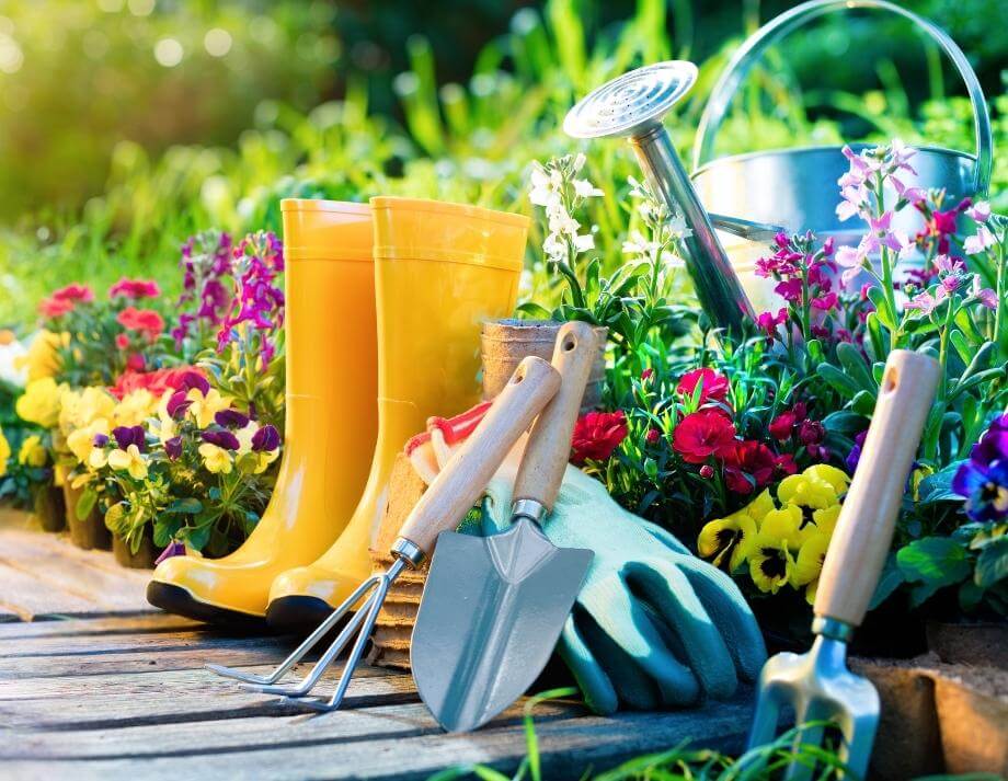 Insights für bellaflora mit Google Surveys