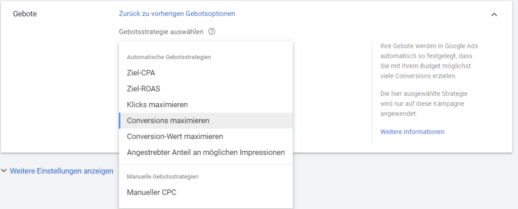 Google Suchkampagnen Gebote
