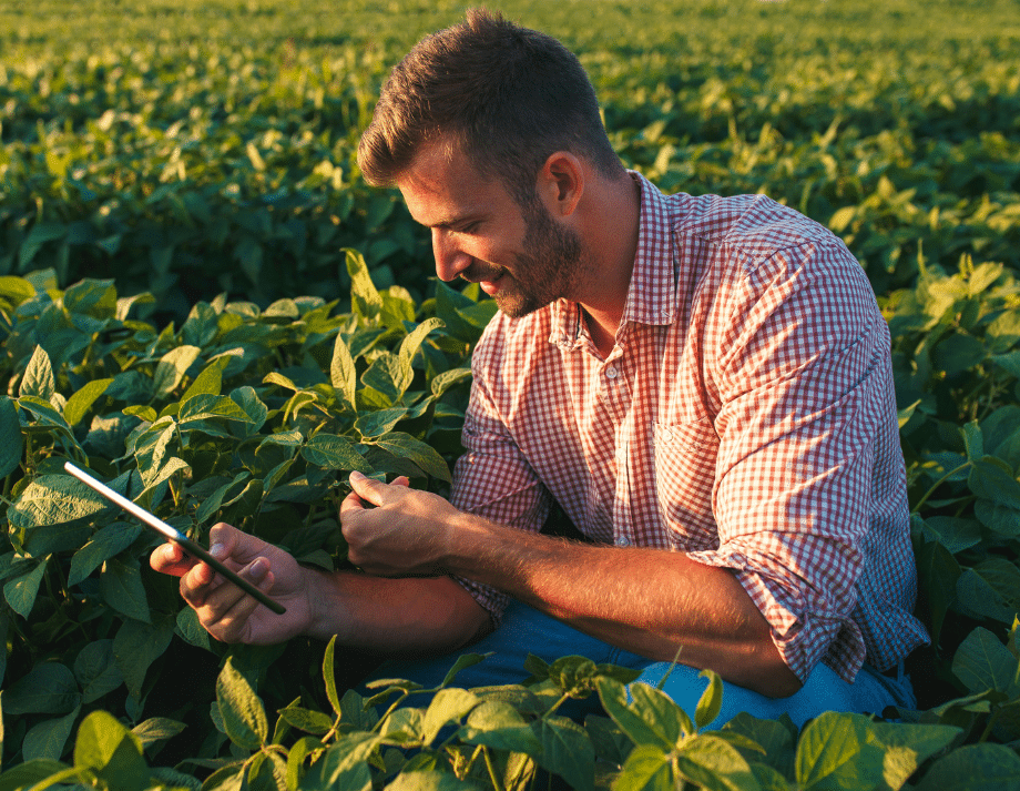 NEXT Farming steigert die Klickrate um 504 % und die Klickzahlen um 13 % mit Demand Gen