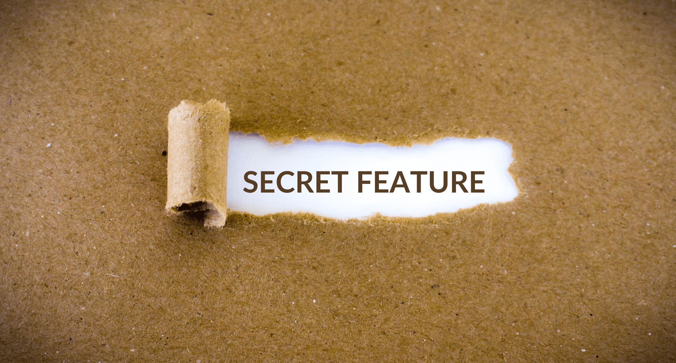 Expanded Data Sets – mit GA 360 ins Detail gehen