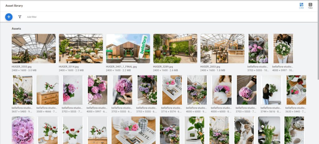 Google Ads Asset Library