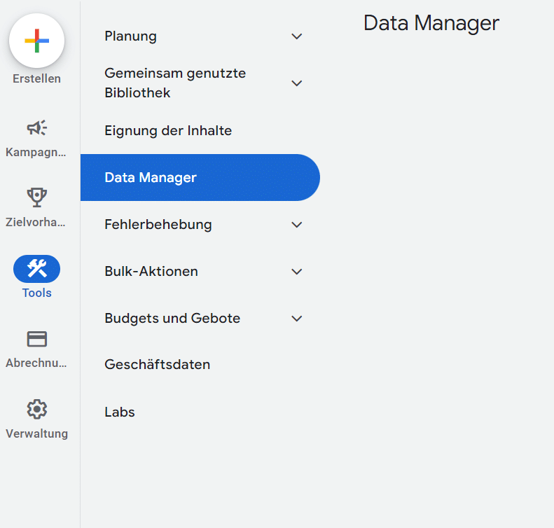 Google Ads Interface - Data Manager
