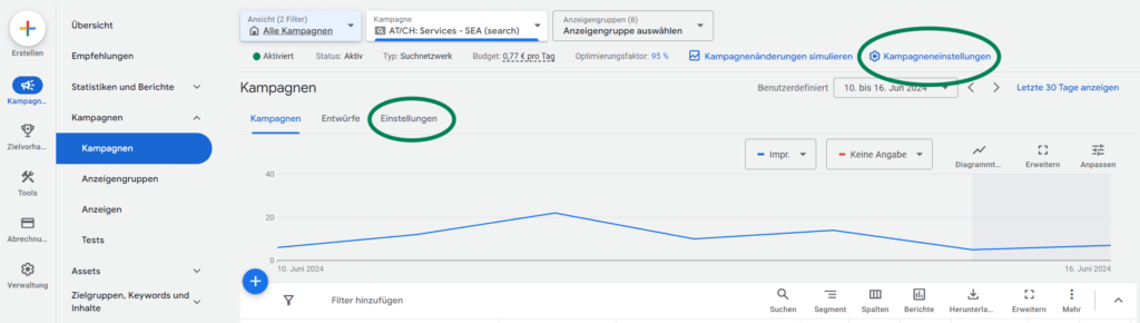 Google Ads Interface - Einstellungen