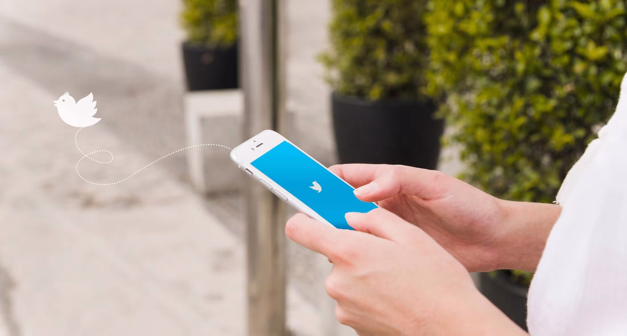 Drei neue essentielle Twitter Ads Updates für Werbende